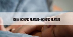 泰国试管婴儿费用-试管婴儿费用