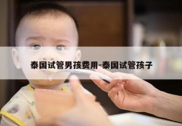 泰国试管NH费用-泰国试管孩子
