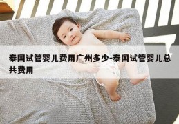 泰国试管婴儿费用广州多少-泰国试管婴儿总共费用