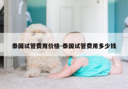 泰国试管费用价格-泰国试管费用多少钱