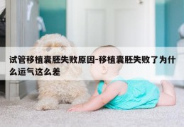 试管移植囊胚失败原因-移植囊胚失败了为什么运气这么差