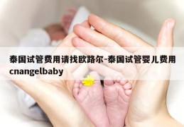 泰国试管费用请找欧路尔-泰国试管婴儿费用cnangelbaby