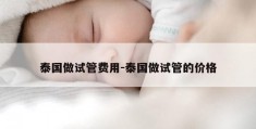 泰国做试管费用-泰国做试管的价格