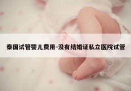 泰国试管婴儿费用-没有结婚证私立医院试管