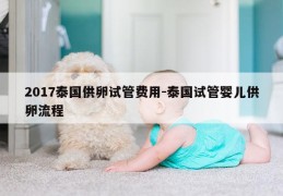 2017泰国GL试管费用-泰国试管婴儿GL流程