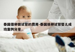 泰国借卵做试管的费用-泰国JL试管婴儿成功案例分享