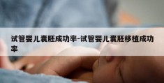 试管婴儿囊胚成功率-试管婴儿囊胚移植成功率