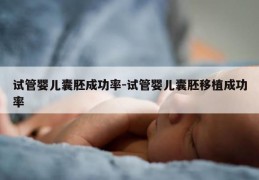 试管婴儿囊胚成功率-试管婴儿囊胚移植成功率