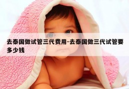 去泰国做试管三代费用-去泰国做三代试管要多少钱
