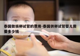泰国做JL试管的费用-泰国GL试管婴儿需要多少钱