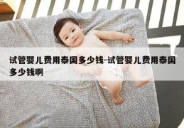 试管婴儿费用泰国多少钱-试管婴儿费用泰国多少钱啊