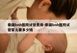 泰国bnh医院试管费用-泰国bnh医院试管婴儿要多少钱