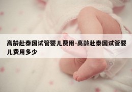高龄赴泰国试管婴儿费用-高龄赴泰国试管婴儿费用多少