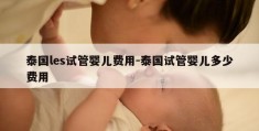 泰国les试管婴儿费用-泰国试管婴儿多少费用