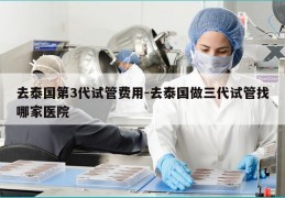 去泰国第3代试管费用-去泰国做三代试管找哪家医院