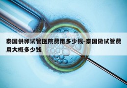 泰国GL试管医院费用多少钱-泰国做试管费用大概多少钱