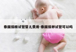 泰国JJ试管婴儿费用-泰国JL试管可以吗