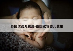 泰国试管儿费用-泰国试管婴儿费用