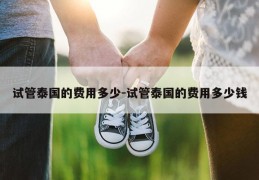 试管泰国的费用多少-试管泰国的费用多少钱