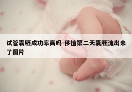 试管囊胚成功率高吗-移植第二天囊胚流出来了图片