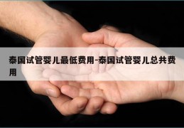 泰国试管婴儿最低费用-泰国试管婴儿总共费用