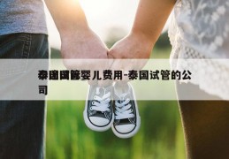 孕途国际泰国试管婴儿费用-泰国试管的公司