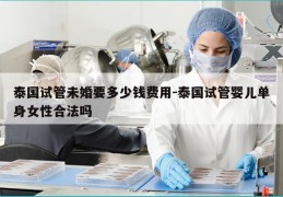 泰国试管未婚要多少钱费用-泰国试管婴儿单身女性合法吗