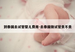 到泰国去试管婴儿费用-去泰国做试管贵不贵