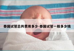 泰国试管总共费用多少-泰国试管一般多少钱