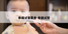 泰国试管费用-泰国试管
