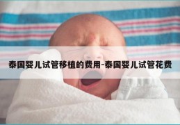 泰国婴儿试管移植的费用-泰国婴儿试管花费
