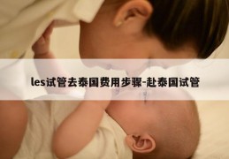 les试管去泰国费用步骤-赴泰国试管