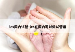 les国内试管-les在国内可以做试管嘛