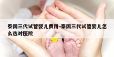 泰国三代试管婴儿费用-泰国三代试管婴儿怎么选对医院