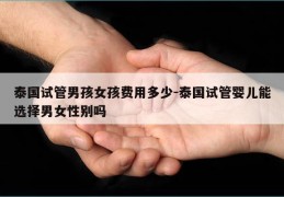 泰国试管NH女孩费用多少-泰国试管婴儿能选择男女XB吗