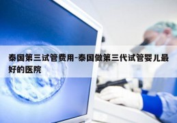 泰国第三试管费用-泰国做第三代试管婴儿最好的医院