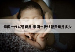 泰国一代试管费用-泰国一代试管费用是多少
