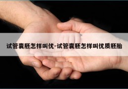 试管囊胚怎样叫优-试管囊胚怎样叫优质胚胎