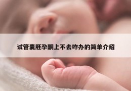 试管囊胚孕酮上不去咋办的简单介绍
