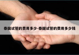 泰国试管的费用多少-泰国试管的费用多少钱