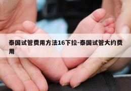 泰国试管费用方法16下拉-泰国试管大约费用