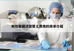 同性泰国试管婴儿费用的简单介绍