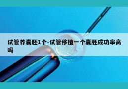 试管养囊胚1个-试管移植一个囊胚成功率高吗