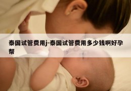 泰国试管费用j-泰国试管费用多少钱啊好孕帮