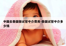 中国去泰国做试管中介费用-泰国试管中介多少钱