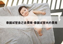 泰国试管自己去费用-泰国试管大约费用