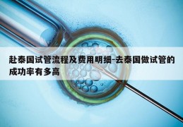 赴泰国试管流程及费用明细-去泰国做试管的成功率有多高