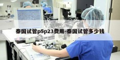 泰国试管p5p23费用-泰国试管多少钱