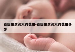 泰国做试管大约费用-泰国做试管大约费用多少