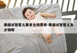 泰国试管婴儿要多少钱费用-泰国试管婴儿多少钱呢